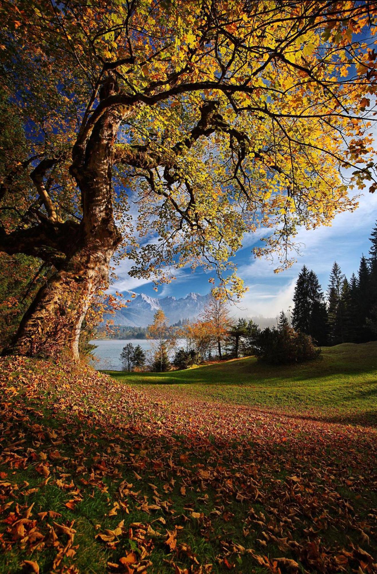 Wallgauer Hof ภายนอก รูปภาพ